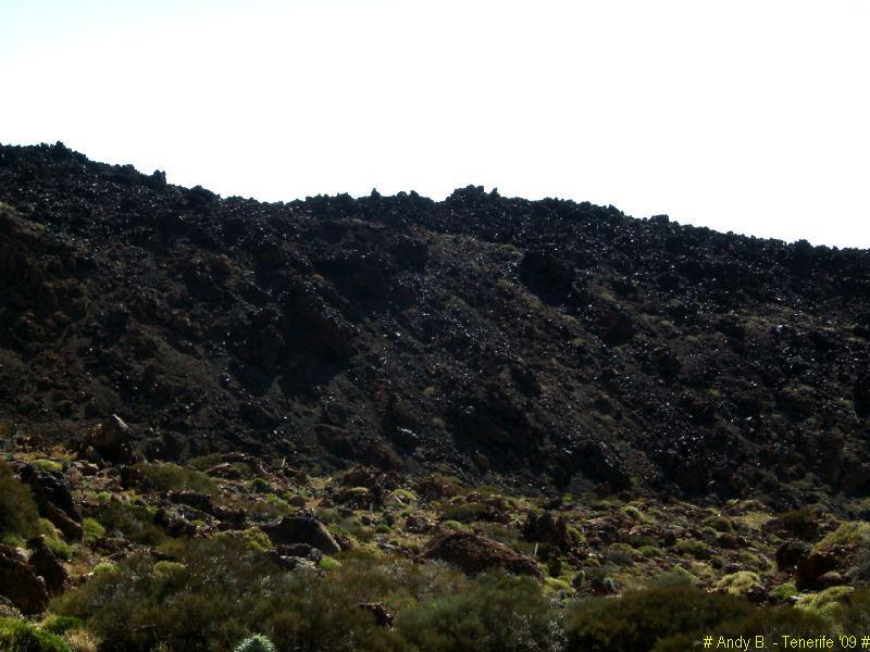 Découverte de Tenerife (23).JPG